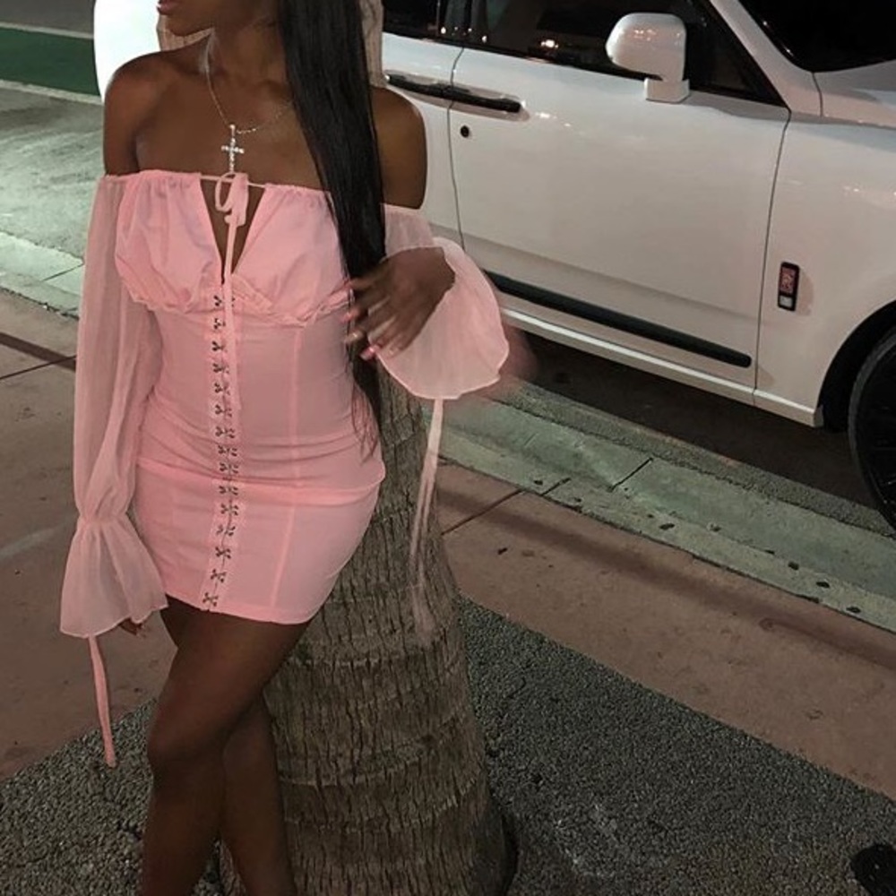 Petite Dusty Rose Chiffon Bodycon Dress